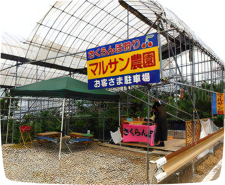 マルサン農園